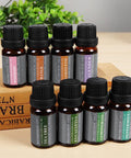 Aromatherapy Oils 100% Pure Basic Essential Oil Gift Set by Wasserstein (Top 8, 10ml)