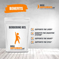 Berberine HCl Powder - Berberine 500mg - Digestive Supplements - Fasting Supplement (250 Grams)