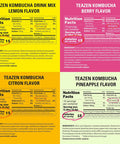 Teazen 4 Flavors 40 Sticks Variety Pack Kombucha Peach Pineapple Mango Guava Shine Muscat Flavor (40 Sticks)