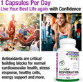 Plantvital Resveratrol 600Mg - Trans Resveratrol Supplement - Supports Immune System And Digestive Health - 90 Trans-Resveratrol Capsules (1 Bottle)