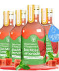 Mango Pink Pepper Sea Moss Electrolyte Lemonade Ã¢â‚¬â€œ Exotic Spiced Hydration Drink Ã¢â‚¬â€œ No Added Sugar with Sea Moss & Electrolytes Ã¢â‚¬â€œ 4 x 12 fl oz Bottles Ã¢â‚¬â€œ Made in USA