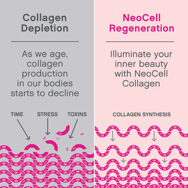 Neocell Marine Collagen With Beauty Blend; For Skin Hydration; Healthy Hair Nails And Joint Support; Keto Certified Gluten Free; Unflavored Powder 7 Ounces 20 Servings*