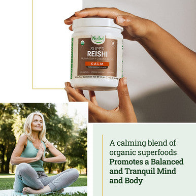 #1 Green Superfood with 1000 mg Mushrooms | 100% USDA Organic Non-GMO Vegan Supplement | 20+ Whole Foods (Spirulina, Wheat Grass, Barley) (Focus, 30 Servings) (Reishi + Shaker Bottle)