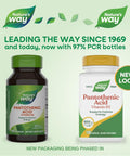 NatureS Way Pantothenic Acid Supports Cellular Energy 500Mg Per Serving 100 Capsules