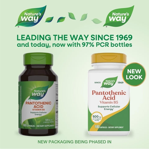 NatureS Way Pantothenic Acid Supports Cellular Energy 500Mg Per Serving 100 Capsules