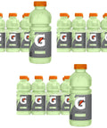 Gatorade Thirst Quencher, Lemon-Lime, 20 Fl Oz (Pack of 8) | Electrolyte Drink, Hydration