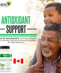 Renew Actives Organic Moringa Leaf Supplement: 800Mg Daily Serving - High Potency Moringa Capsules - Green Superfood & Antioxidant Support Against Free Radical Damage- 120 Vegan Capsules
