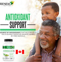 Renew Actives Organic Moringa Leaf Supplement: 800Mg Daily Serving - High Potency Moringa Capsules - Green Superfood & Antioxidant Support Against Free Radical Damage- 120 Vegan Capsules