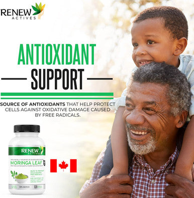Renew Actives Organic Moringa Leaf Supplement: 800Mg Daily Serving - High Potency Moringa Capsules - Green Superfood & Antioxidant Support Against Free Radical Damage- 120 Vegan Capsules