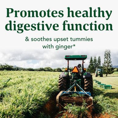 MegaFood Baby & Me 2 Prenatal Probiotic + Prebiotic Probiotics For Women & Developing Baby With 30 Billion Cfu - Vegan And Non-Gmo - 60 Caps (30 Servings)
