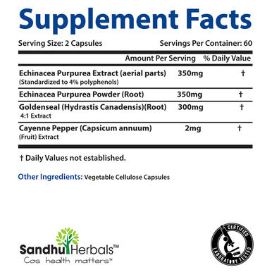 Echinacea Goldenseal 1000 Mg Immune System Support Respiratory Response Inflammatory Response Supplement120 Vegetarian Capsules