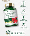 Carlyle Hawthorn Berry Complex | 2500mg | 120 Capsules | Extract Powder Pills | Non-GMO & Gluten Supplement