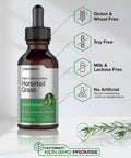 Horsetail Herb Liquid Extract | Alcohol Free | 2 fl oz | Vegetarian, Non-GMO, & Gluten Free Supplement | by Horbaach