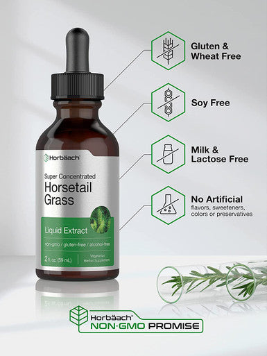 Horsetail Herb Liquid Extract | Alcohol Free | 2 fl oz | Vegetarian, Non-GMO, & Gluten Free Supplement | by Horbaach