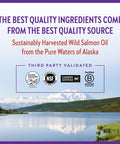 New Chapter Wholemega Whole Fish Oil 120 Softgels