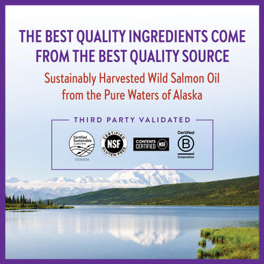 New Chapter Wholemega Whole Fish Oil 120 Softgels