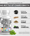 Clean Nutra Activated Charcoal Capsules 1000Mg Shilajit 5000Mg Pills Probiotic 200 Billion + Digestive Enzymes For Digestive Heal