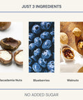 Blueprint Bryan Johnson Blueberry Nut Mix Real Blueberries Roasted Macadamia Nuts and Walnuts No Additives or Added Sugars Keto and Paleo Friendly 170mg Polyphenols 30 Servings