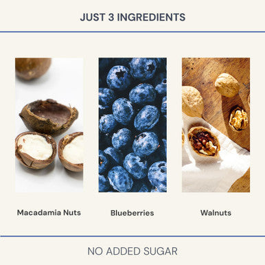 Blueprint Bryan Johnson Blueberry Nut Mix Real Blueberries Roasted Macadamia Nuts and Walnuts No Additives or Added Sugars Keto and Paleo Friendly 170mg Polyphenols 30 Servings