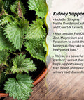 Irwin Naturals 2-In-1 Kidney & Liver Super Cleanse (60 Liquid Softgels) Bundle With Pill Case - Liver And Kidney Detox Cleanse Supplement To Repair And Support Healthy Kidney And Liver Function