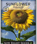 Sow Right Seeds - Mammoth Sunflower Seed for Planting Giant Flower Garden | Plant non-GMO heirloom sun flowers for outdoor home gardening. Outside vibrant annual variety attracts butterflies and birds.