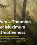 Natural Factors Suntheanine Chewable Tablets 120 Count