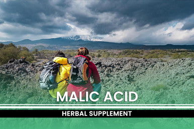PURE ORIGINAL INGREDIENTS Malic Acid (365 Capsules) No Magnesium Or Rice Fillers, Always Pure, Lab Verified