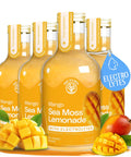 Mango Pink Pepper Sea Moss Electrolyte Lemonade Ã¢â‚¬â€œ Exotic Spiced Hydration Drink Ã¢â‚¬â€œ No Added Sugar with Sea Moss & Electrolytes Ã¢â‚¬â€œ 4 x 12 fl oz Bottles Ã¢â‚¬â€œ Made in USA
