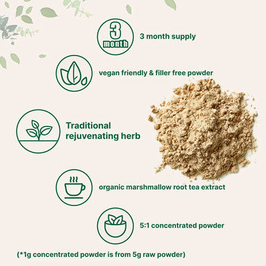 Pure USDA Raw Organic Marshmallow Root Tea Powder 4 Ounce
