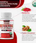 DECENT NATURE Organic Berberine with Ceylon Cinnamon 2175mg Premium berberine supplement high purity extract USDA Organic support immune system Berberine Plus Complex Non GMO Vegan for Men Women 90 Capsules