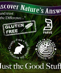 Nature'S Answer Organic Astragalus Root Fluid Extract 1 Oz - Low Alcohol Non GMO Gluten Vegan Immune & Cardiovascular Support Stress Relief Made in USA 1 Fluid Ounce