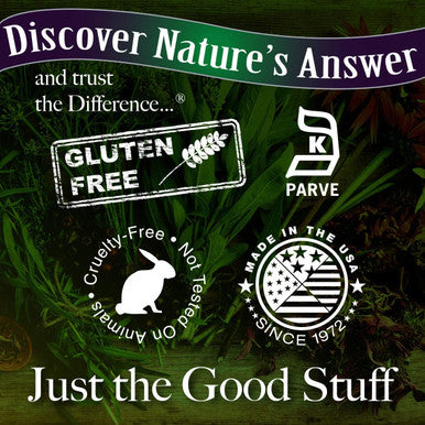 Nature'S Answer Organic Astragalus Root Fluid Extract 1 Oz - Low Alcohol Non GMO Gluten Vegan Immune & Cardiovascular Support Stress Relief Made in USA 1 Fluid Ounce