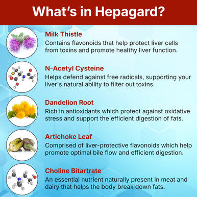 Hepagard Natural Liver Support Supplement With N Acetyl Cysteine (Nac)