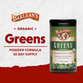 Barlean's Greens Formula Powder 9.3 Oz 264 G
