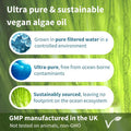 Vegan Dha & Epa Omega 3 Algae Oil & Astaxanthin Antioxidant, 1344Mg Omega 3, Pure & Sustainable, 60 Small Softgels, 400Mg Dha & 200Mg Epa, Clean Label, Easy-To-Swallow, 30 Servings, By Igennus