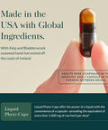 Gaia Herbs Thyroid Support - Made With Ashwagandha, Kelp, Brown Seaweed, And Schisandra To Support Healthy Metabolic Balance And Overall Well-Being - 60 Vegan Liquid Phyto-Capsules (20-Day Supply)