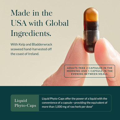 Gaia Herbs Thyroid Support - Made With Ashwagandha, Kelp, Brown Seaweed, And Schisandra To Support Healthy Metabolic Balance And Overall Well-Being - 60 Vegan Liquid Phyto-Capsules (20-Day Supply)