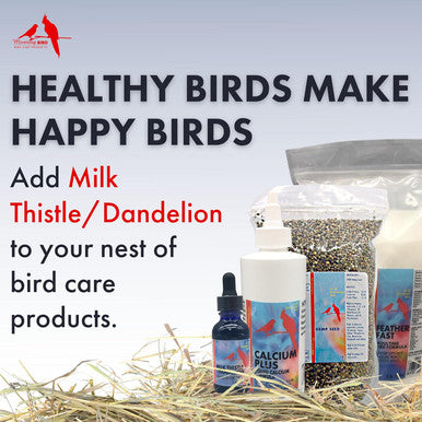 Morning Bird Milk Thistle Dandelion Extract, Organic Liquid Supplement For Aviary Liver Health, 1 Fl Oz
