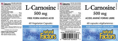 Natural Factors LCarnosine 500 mg Supports Healthy Aging Muscle and Brain Function Dietary Supplement 60 capsules 60 servings