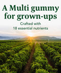 MegaFood Men'S Multi - Multivitamin For Men - Gummy Vitamins For Men - Vitamin C Vitamin D Zinc Vitamin B12 & Real Fruit - Immune Support - Vegetarian - Wild Blueberry - 60 Gummies (30 Servings)