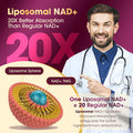 Nad Supplement 2464Mg, Liposomal Nad+ Supplement With Resveratrol, Nad Resveratrol Supplement - Boost Nad+ For Aging Defense, Energy, Focus - Ultra Antioxidant Capsules 166
