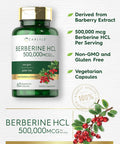 Carlyle Berberine Supplement 500000mcg | 60 Capsules | Berberine HCL | Vegetarian Non-GMO Gluten