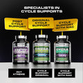 Iron Labs Nutrition : Cycle Support Plus Nac (N-Acetyl-L-Cysteine) - On Cycle Support Supplements For Men - With N Acetyl L Cysteine, Milk Thistle, Hawthorne Berry And More (120 Capsules)