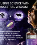 Lions Mane Mushroom Supplement Beef Brain Powerful Nootropics Brain Support Supplement Brain Supplements for Memory and Focus 180 Capsules by Optimal Carnivore