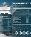 Himalayan Shilajit Gummies With 85+ Trace Minerals & Fulvic Acid For Energy, Immune, Cognitive Support High Potency Pure Natural Shilajit Supplement For Men & Women 60 Gummies