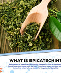 Muscle Empire Epicatechin Extract Capsules | Epi 250Mg | 60 Pill Count | Supports Lean Muscle Growth, Nitric Oxide Booster & Myostatin Inhibitor