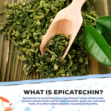 Muscle Empire Epicatechin Extract Capsules | Epi 250Mg | 60 Pill Count | Supports Lean Muscle Growth, Nitric Oxide Booster & Myostatin Inhibitor