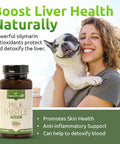 Lignans For Life Milk Thistle Seed Extract Herbal Supplement For Dogs, 100Mg - 60 Vegetarian Capsules, Canine Liver Health, Natural Milk Thistle Supplement, Liver Supplement, Liver Support Supplement