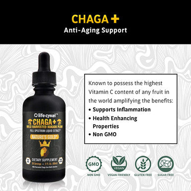 Life Cykel Chaga Mushroom Extract with Australian Wild Harvested Kakadu Plum, 2 oz