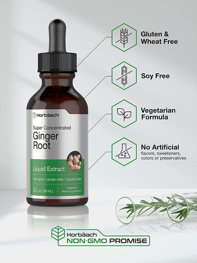 Ginger Root Extract | 2 oz | Alcohol Free Supplement | Super Concentrated | Vegetarian, Non-GMO, Gluten Free Liquid | by Horbaach